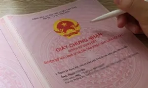 Sổ đỏ sai kích thước các cạnh nhưng diện tích đúng, có phải đổi lại? Sổ đỏ sai kích thước các cạnh nhưng diện tích đúng, có phải đổi lại?