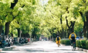 Học bổng chính phủ Trung Quốc cho du học sinh Việt giảm mạnh